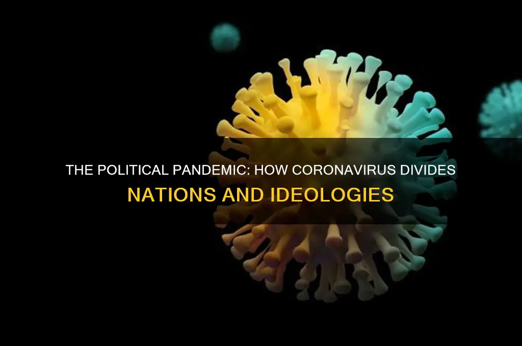 why coronavirus is political