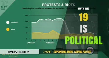 COVID-19's Political Divide: How the Pandemic Shaped Global Politics