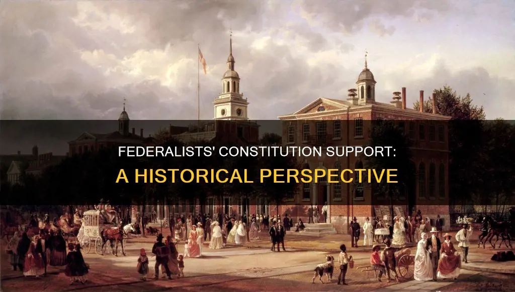 why di the federalists support the constitution
