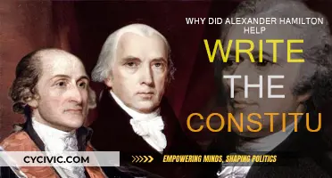 Hamilton's Influence: Shaping the US Constitution