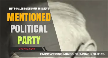 Alon Paton's Vision: The Birth of a New Political Party