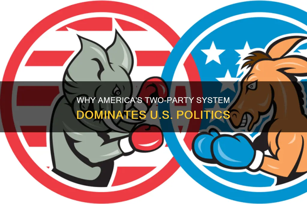 why did americ develop a two party political system