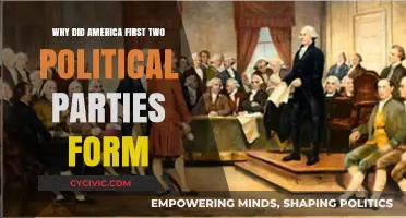 The Birth of American Politics: Origins of the First Two Parties