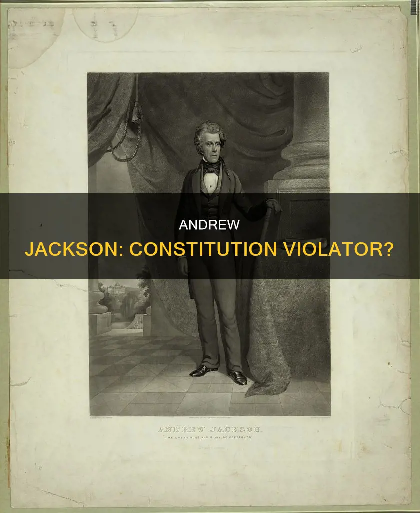 why did andrew jackson go against the constitution