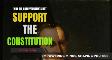 Anti-Federalists' Constitution: What Went Wrong?