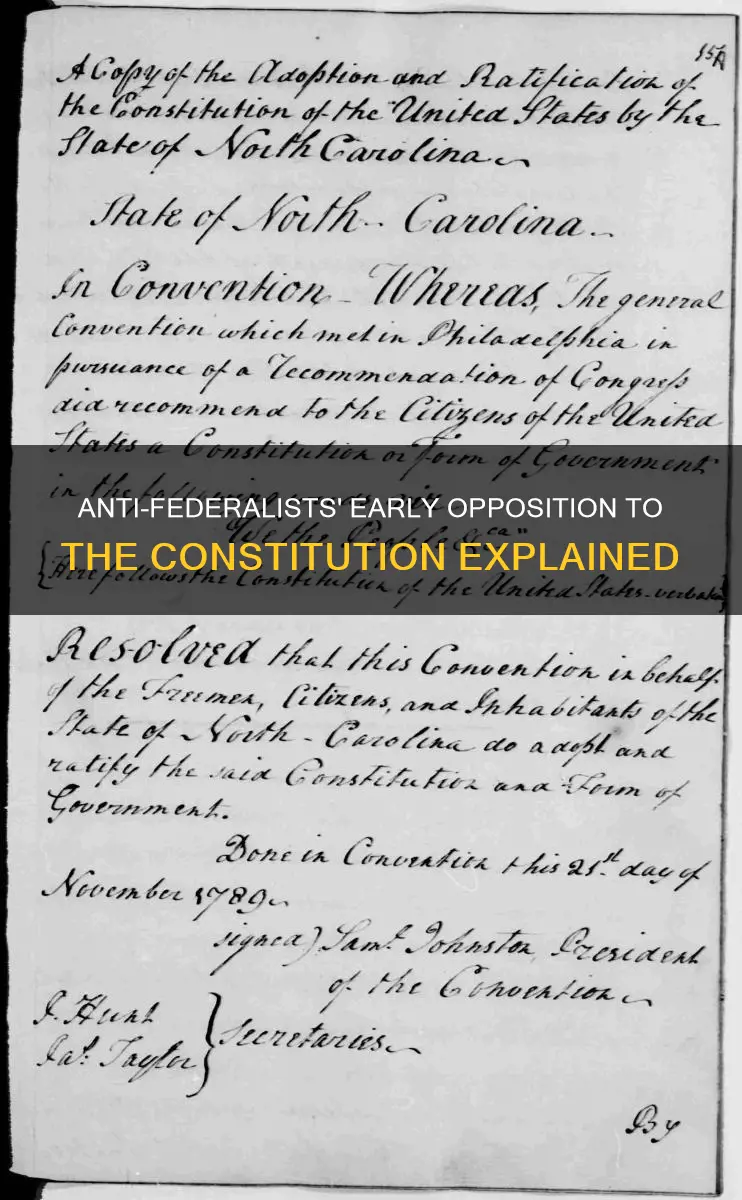 why did anti-federalists opposed the constitution at first