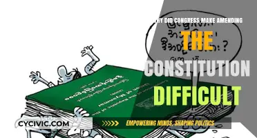 The Constitution: Amendments' Challenge by Congress