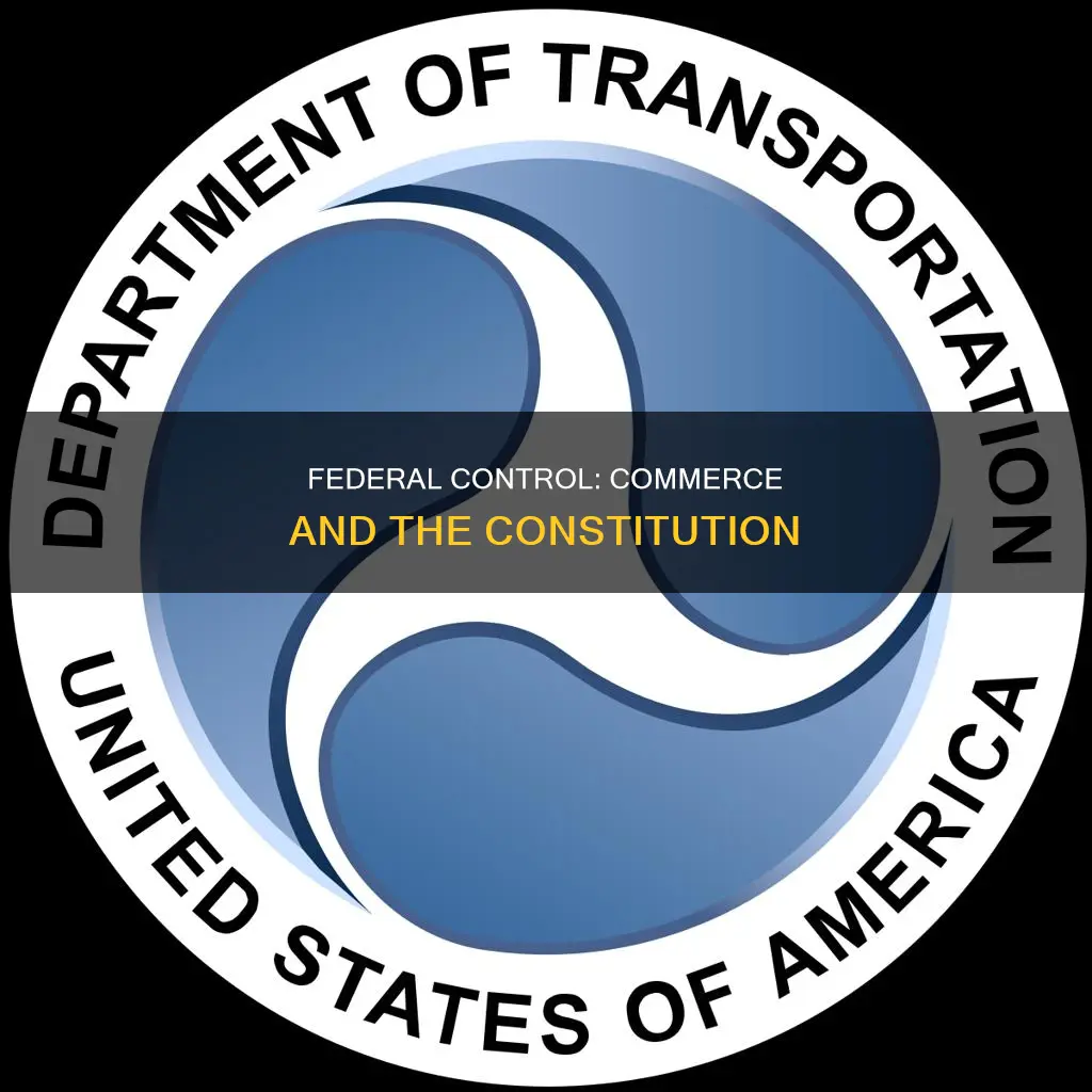 why did constitution give federal control to interstate commerce