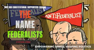 Federalists: Choosing a Name for a Constitutional Future