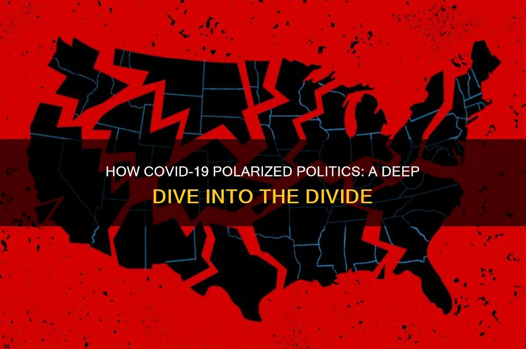 why did covid become political