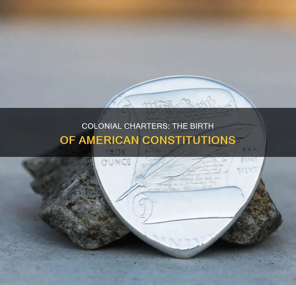 why did each colony create its own constitution