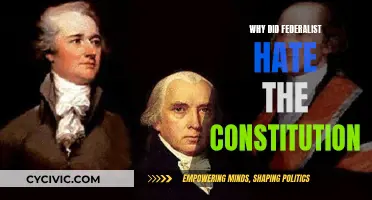 Federalist Opposition: Constitution's Flaws and the Federalist Fury