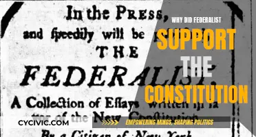 Federalists: Constitution's Guardians for a Strong, United America