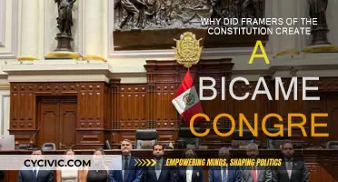 Founding Fathers' Vision: A Bicameral Congress