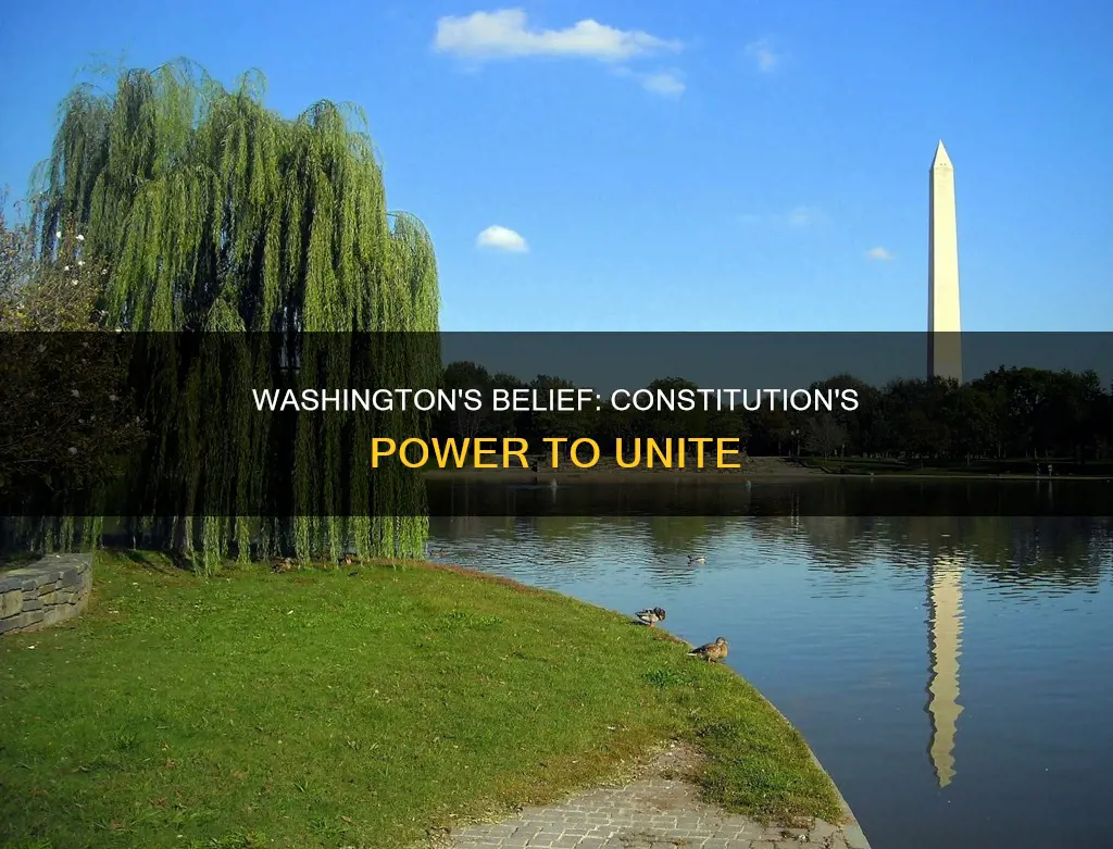 why did george washington agree with the constitution