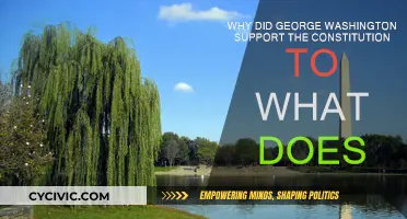 Washington's Constitution: A Founding Father's Vision