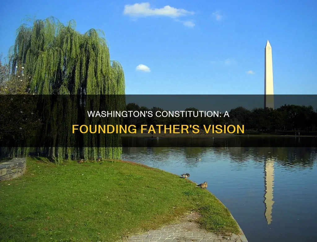 why did george washington support the constitution to what does