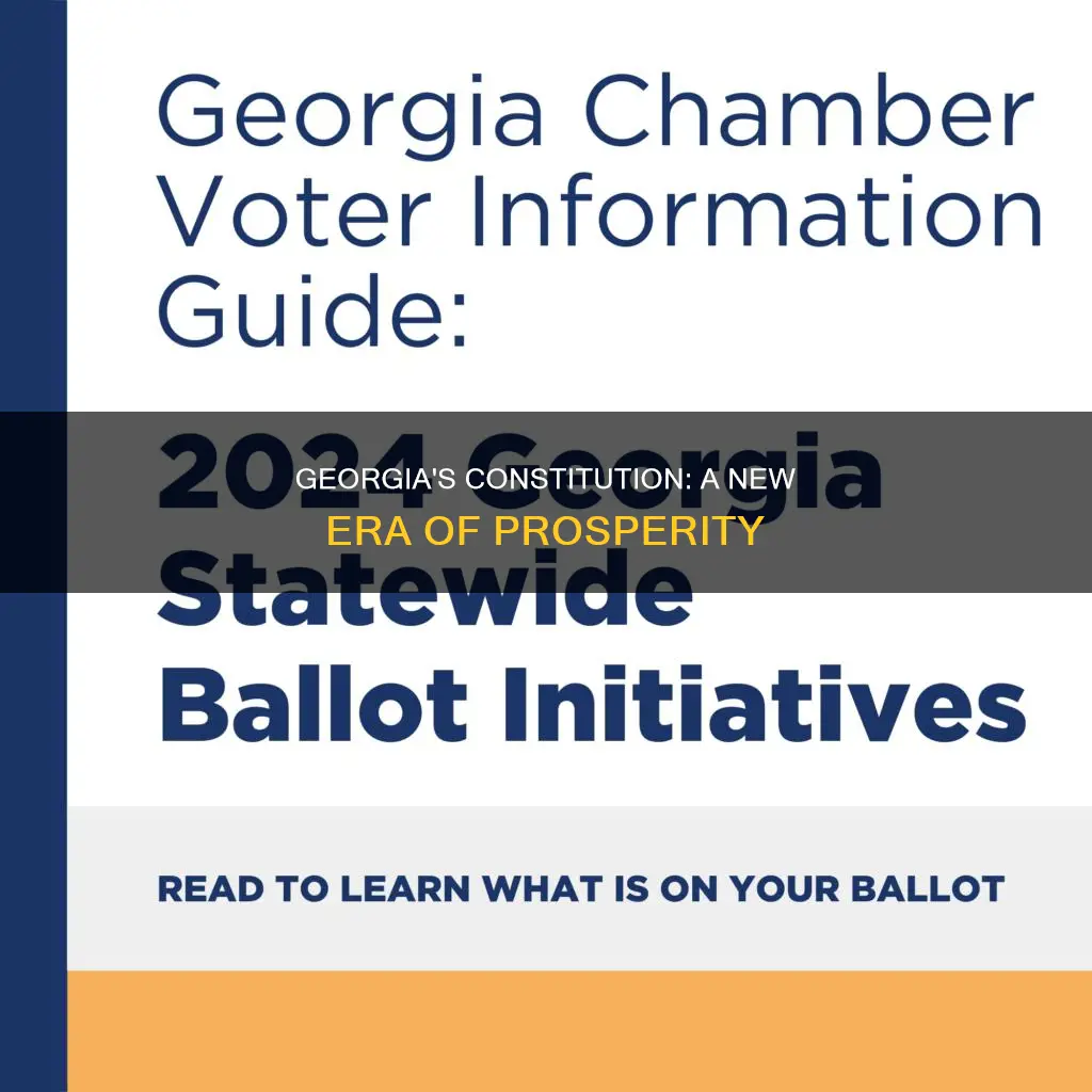 why did georgia favor the new us constitution