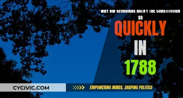 Georgians' Swift Constitution Ratification: The Reason Behind