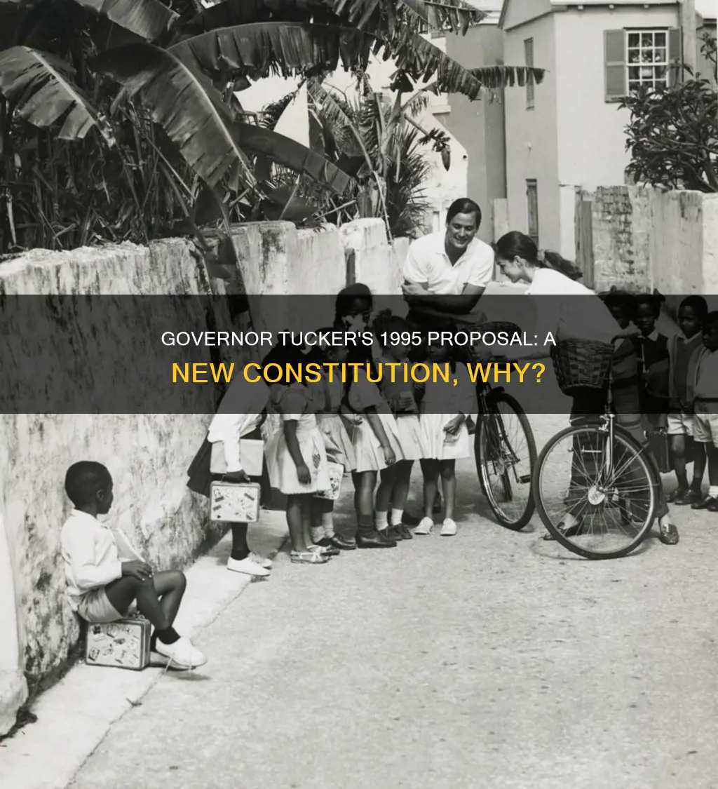 why did governor tucker propose a new constitution in 1995