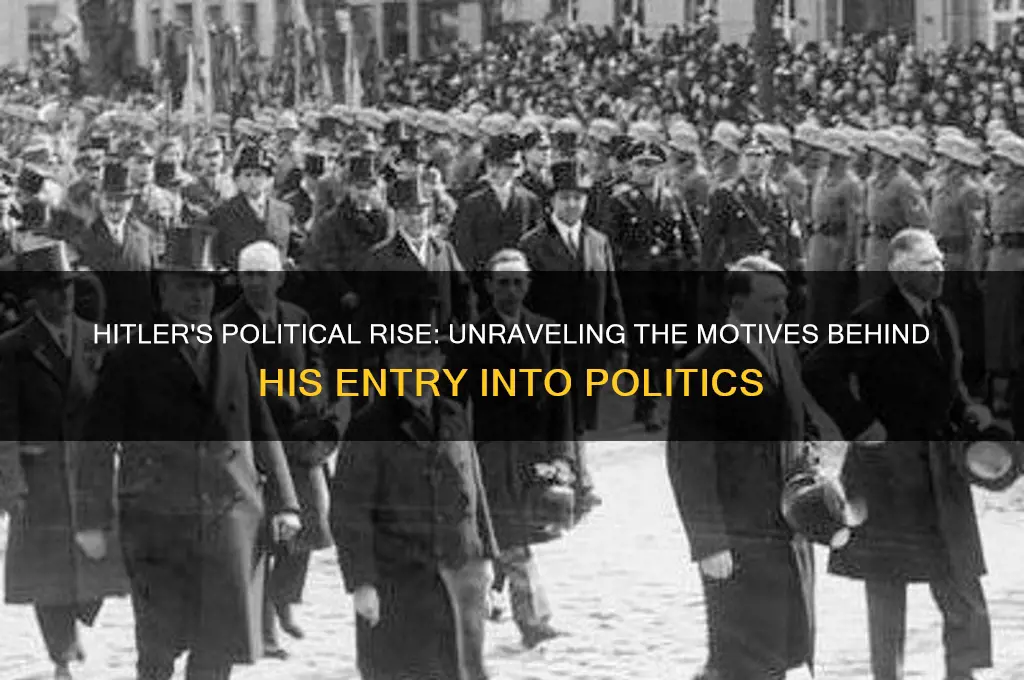why did hitler join politics