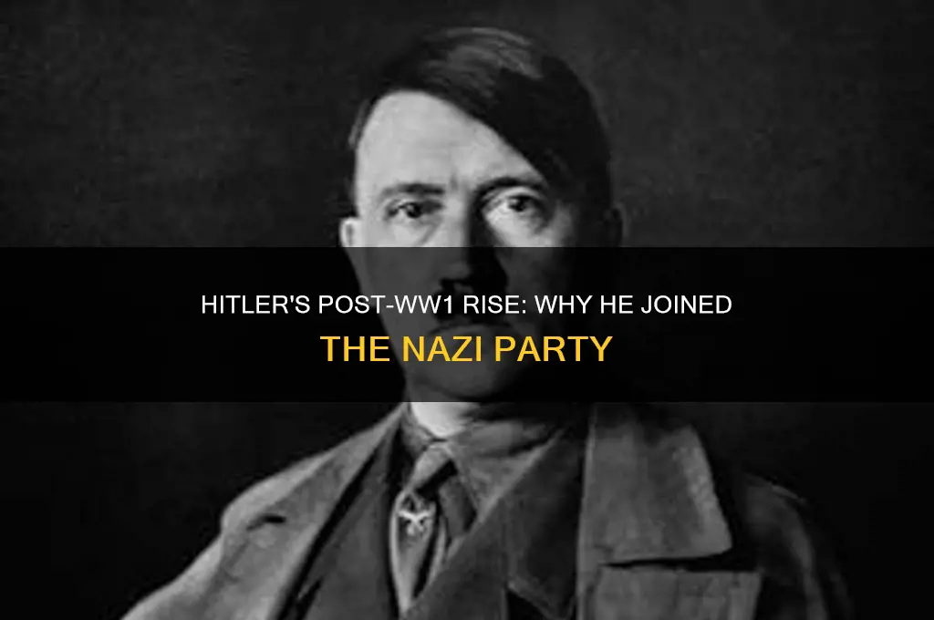 why did hitler join the nazi political party after ww1
