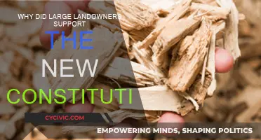 Landowners' Interests: Why the Wealthy Backed the Constitution