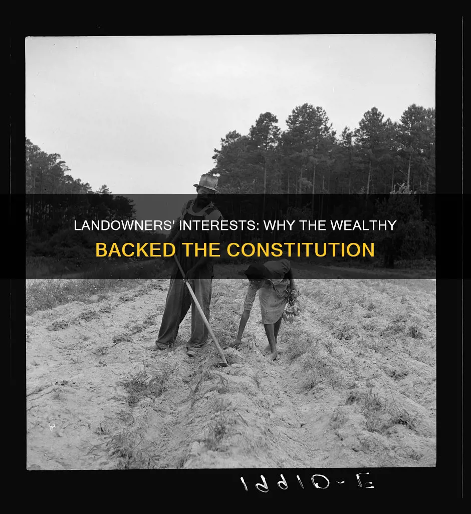 why did large landowners support the new constitution