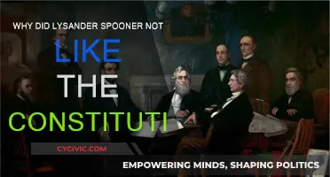 Spooner's Constitution: A Critical View