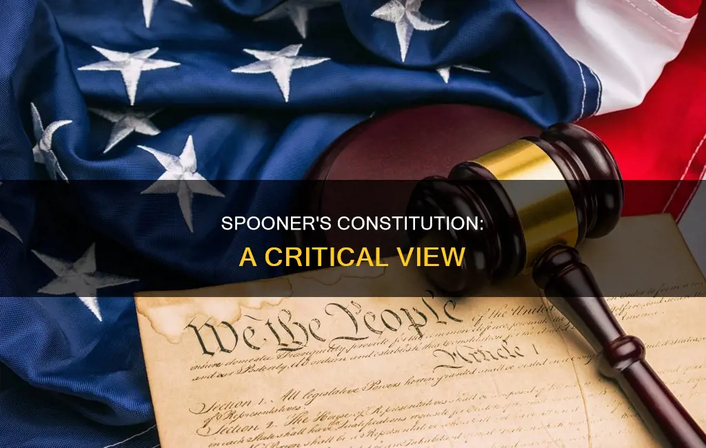 why did lysander spooner not like the constitution