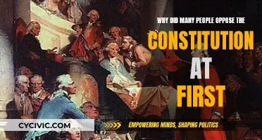 Opposition to the Constitution: Why the Early Resistance?