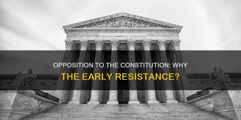 why did many people oppose the constitution at first