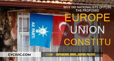 Nationalists' Opposition to the EU Constitution Explained
