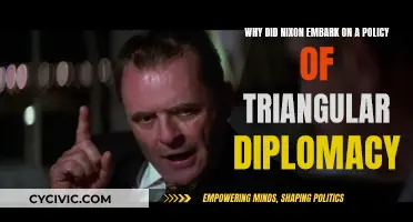 Nixon's Triangular Diplomacy: A Cold War Strategy