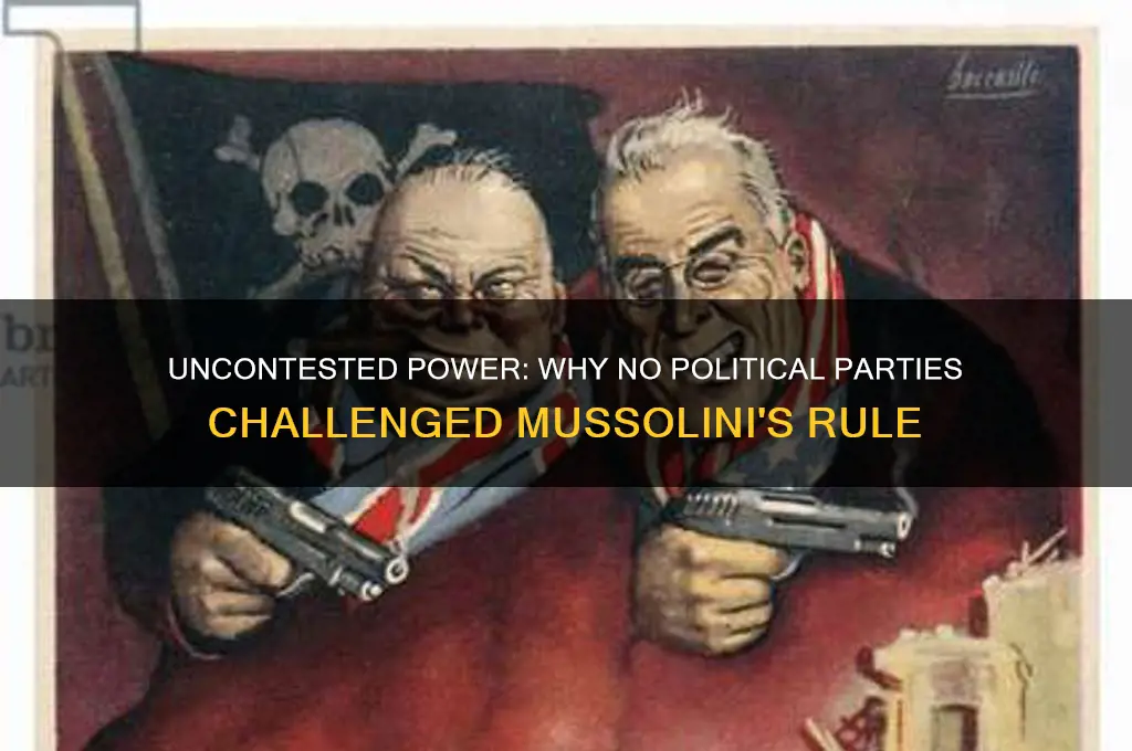 why did no other political parties challenged mussolini