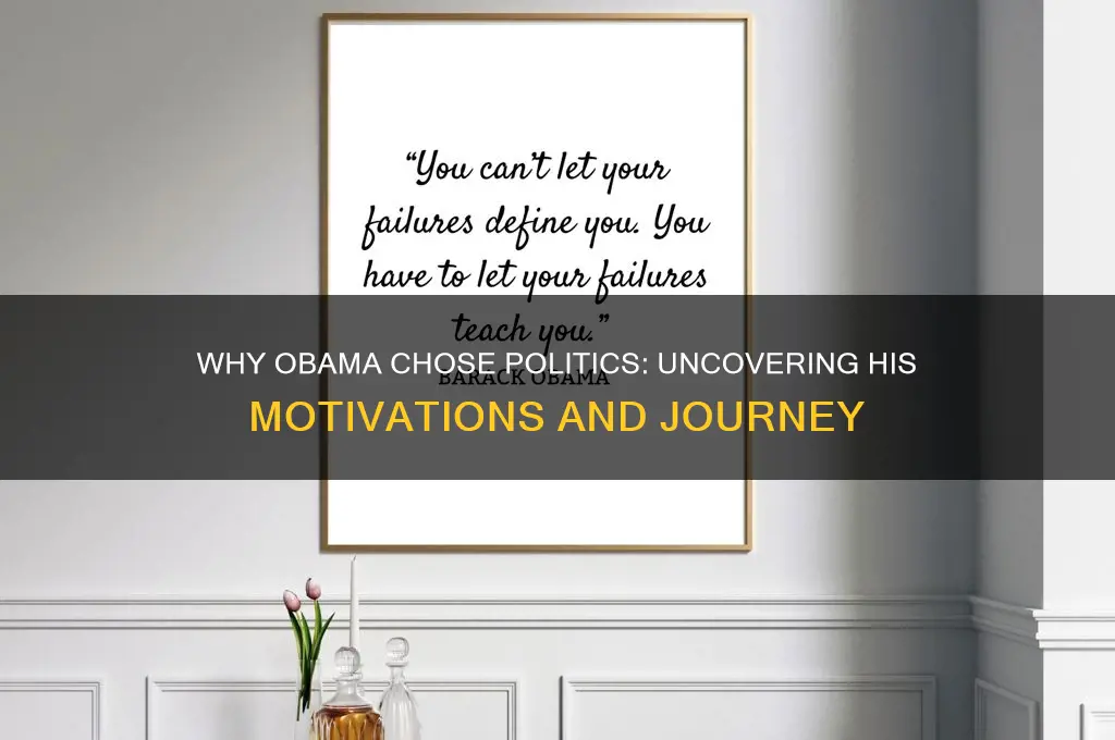 why did obama enter politics