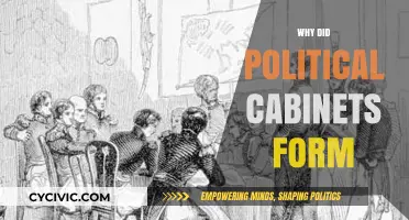 The Rise of Political Cabinets: Origins and Historical Necessity