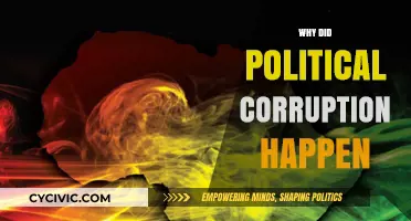 Unveiling the Roots: Understanding the Causes of Political Corruption