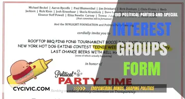 The Rise of Political Parties and Special Interest Groups: A Historical Perspective