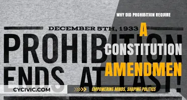 Prohibition's Constitutional Roots: Why an Amendment?