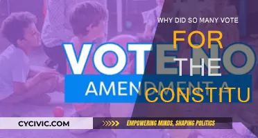 The Constitution's Appeal: Why the Vote?