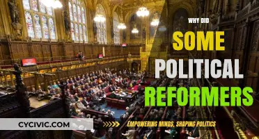 Why Some Political Reformers Failed to Achieve Lasting Change