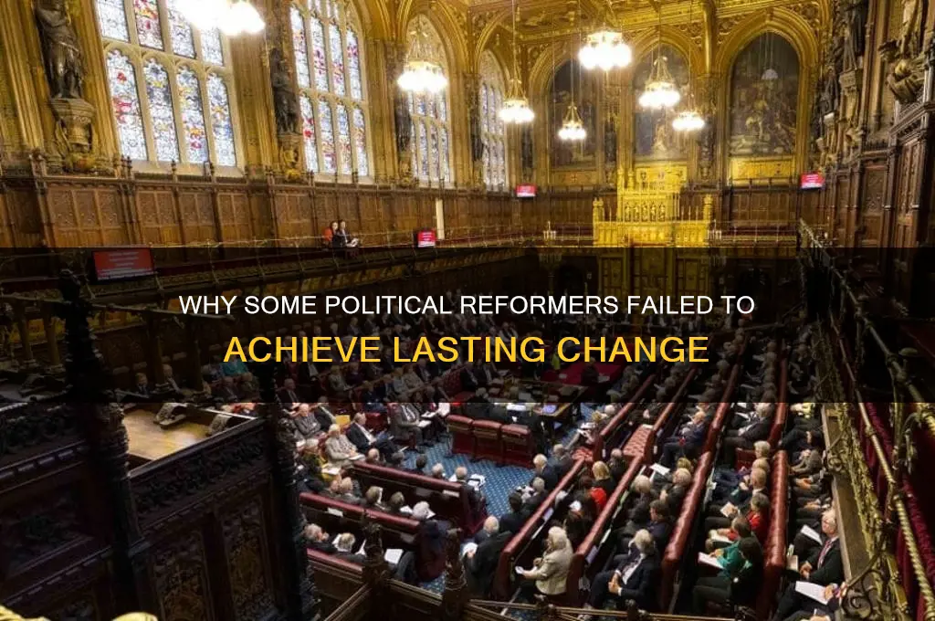 why did some political reformers