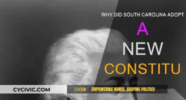 South Carolina's New Constitution: Why the Change?