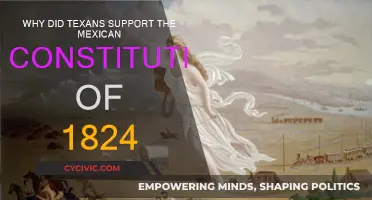 Texans' Support for the Mexican Constitution of 1824 Explained