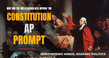 Anti-Federalists' Opposition: The Constitution's Early Critics