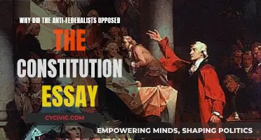 Anti-Federalists' Opposition to the Constitution: Explained