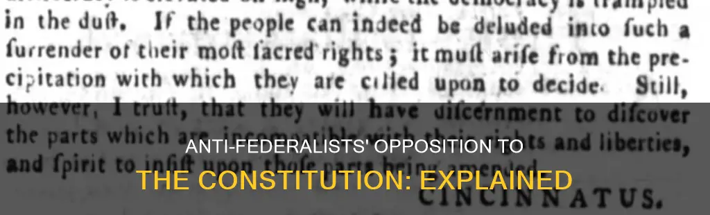 why did the anti-federalists opposed the constitution essay