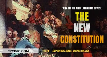 Antifederalists' Opposition to the New Constitution Explained