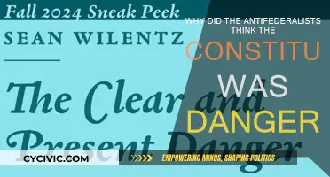 Antifederalists' Fears: Constitution's Danger